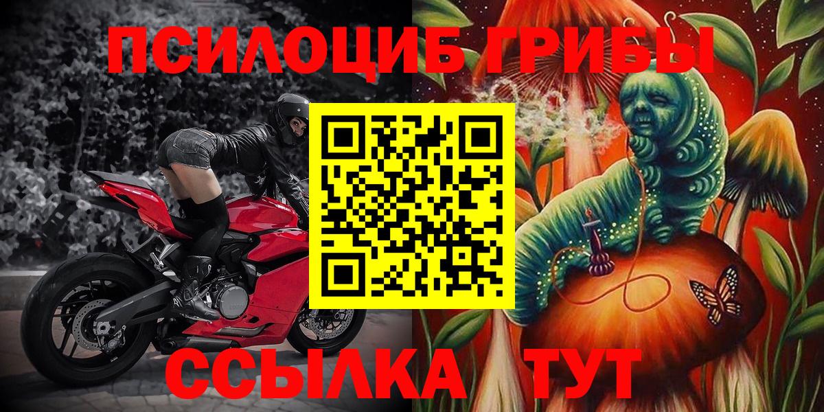 что такое наркотик  Галлюциногенные грибы мухоморы  Псилоцибиновые грибы Cubensis  Вход с VPN  Морозовск 