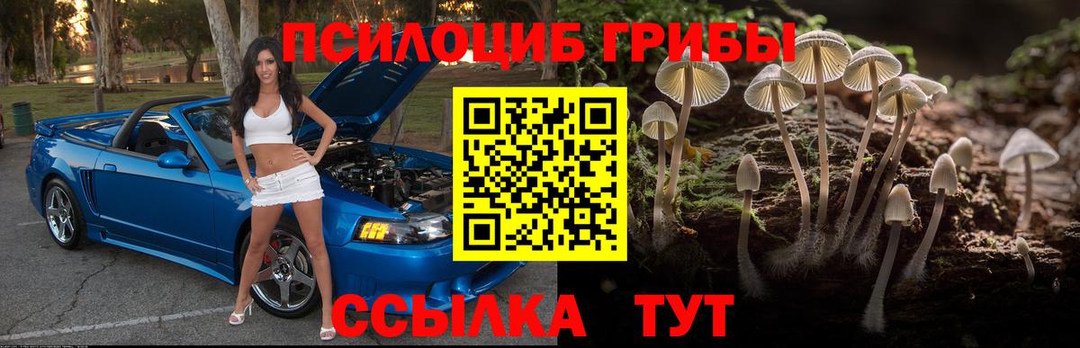 Псилоцибиновые грибы Cubensis Морозовск